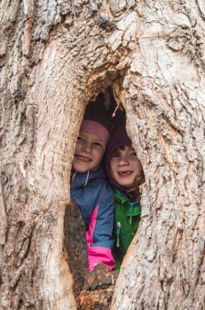 Kinder verstecken sich in ausgehöhltem Baum