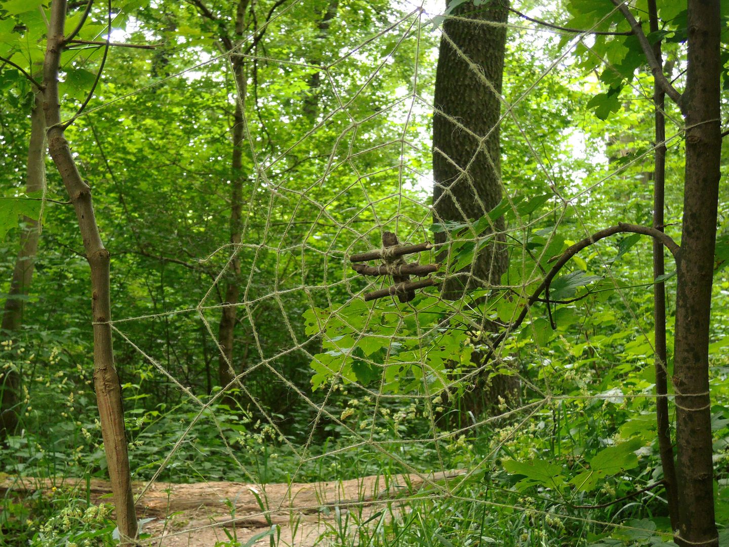 aus Strick und Holz gebasteltes Spinnennetz zwischen zwei Bäumen