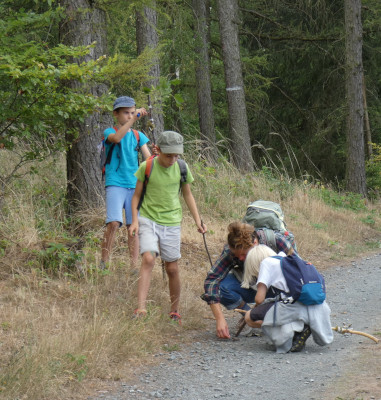 Ein erwachsener Mensch und drei Kinder sind auf einem Waldweg und schauen auf den Boden. 