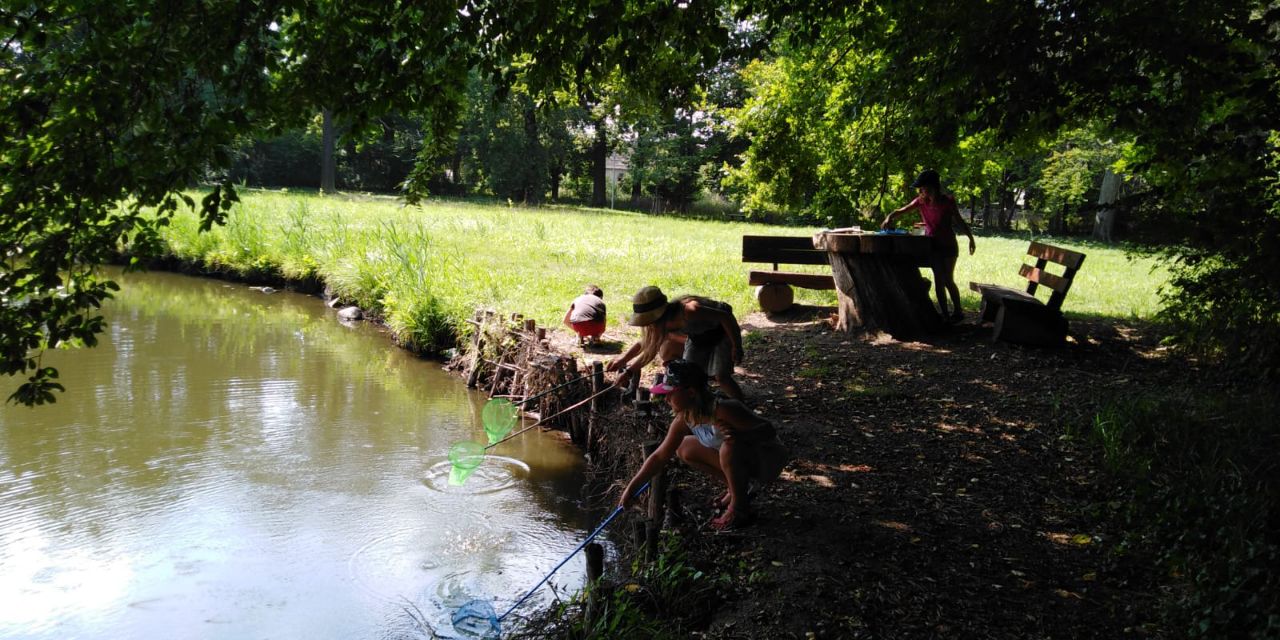 Kinder Keschern im Teich in Burgkemnitz