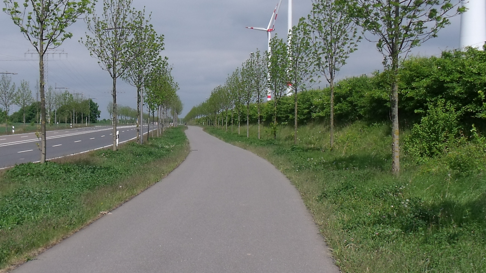 Fahrrad- und Fußweg neben Straße am Feldrand