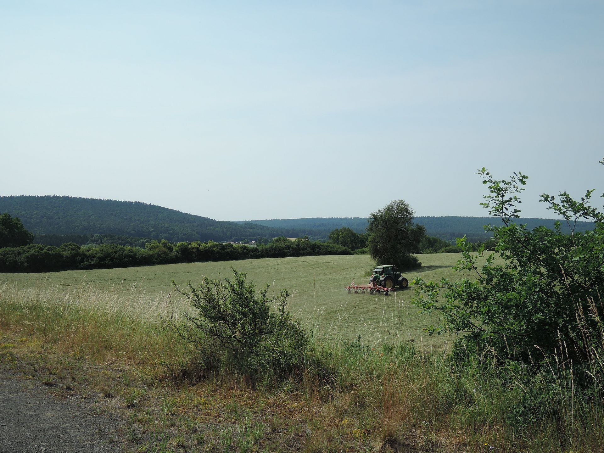 Traktor bei der Mahd bei blauem Himmel, im Vordergrund Büsche