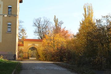 Eingangsrot und Herbstbäume in Doesen