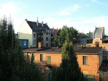 Nadelbäume zwischen Häusern in Leipzig