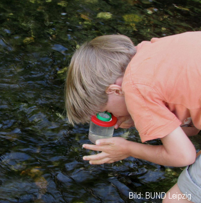 Junge untersucht Bachwasser
