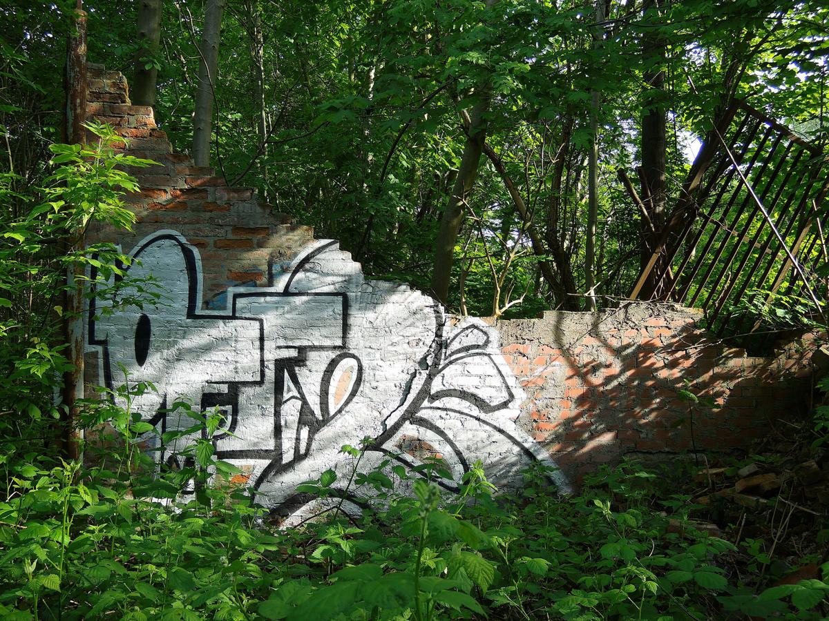 zugewachsene Mauer mit Graffiti