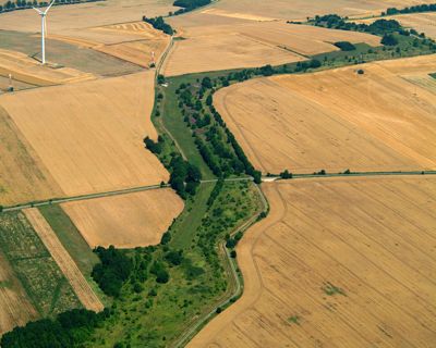 grüner Streifen zwischen Feldern