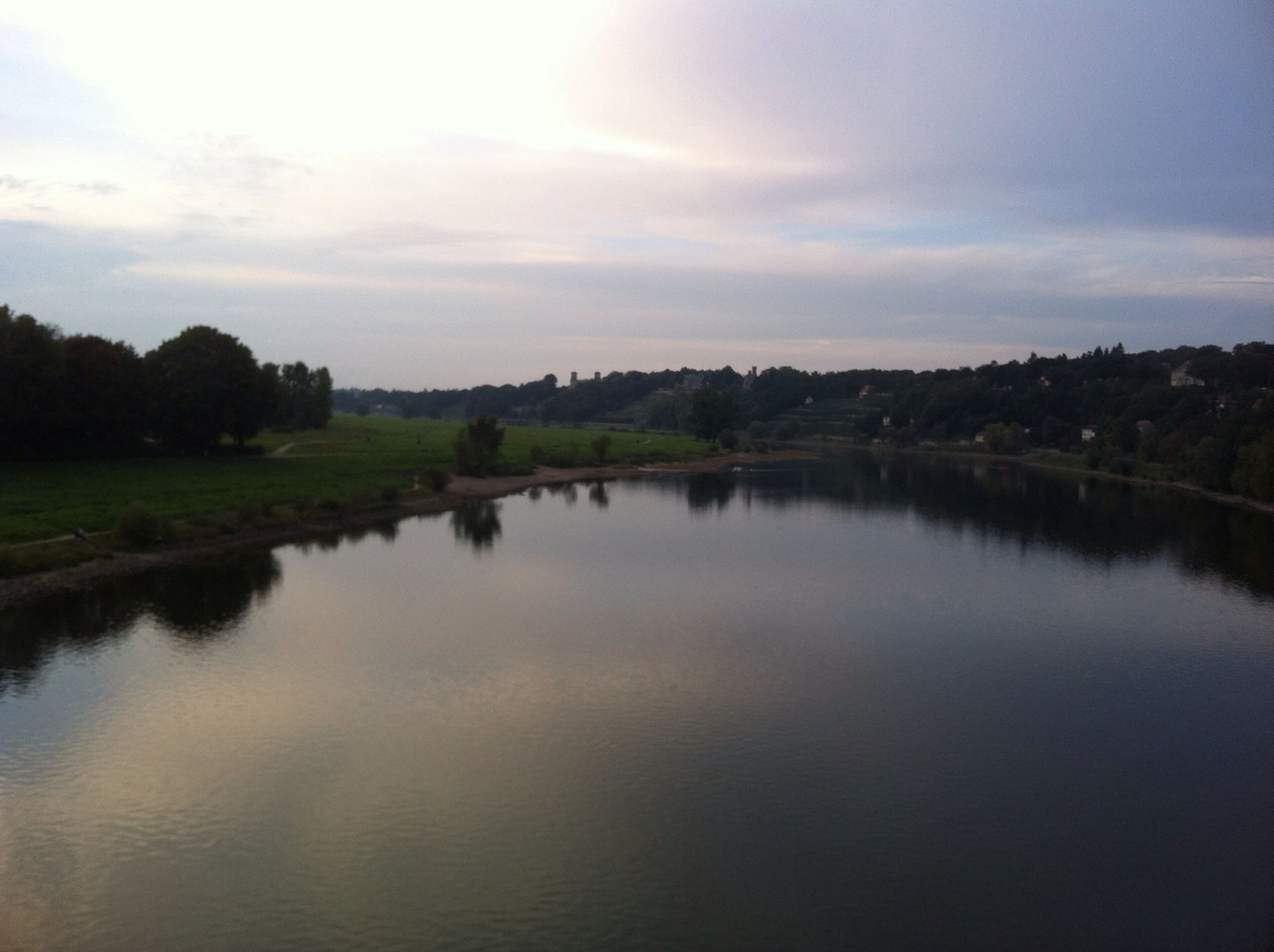 Elbe, Bäume