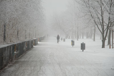 Radfahrer im Schnee auf Brücke im Park
