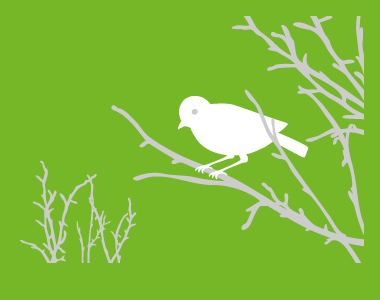Artenschutz, Vogel Grafik vor grünem Hintergrund