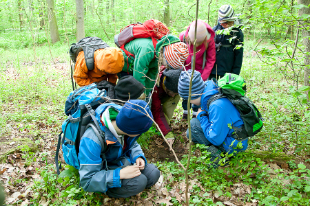 Eine Kindergruppe erforscht den Waldboden